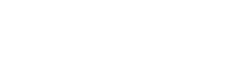 Cañas & Flores